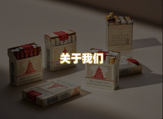 关于我们